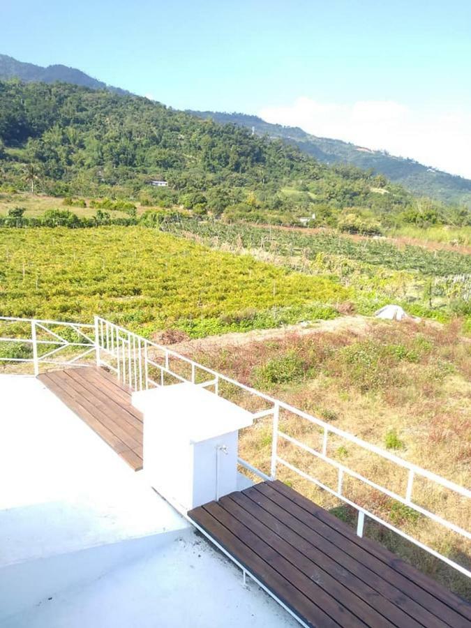 Back To Real Hostel Taitung Bagian luar foto